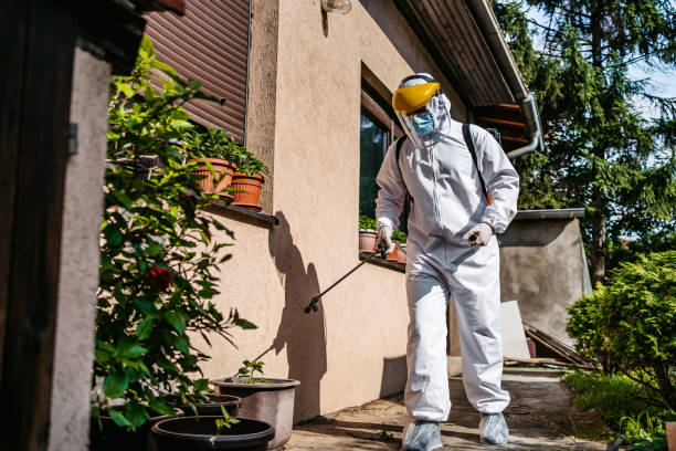 Best Affordable Pest Control Services  in Vandalia, OH