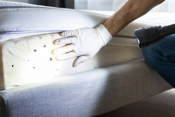 Best Residential Pest Control  in Vandalia, OH